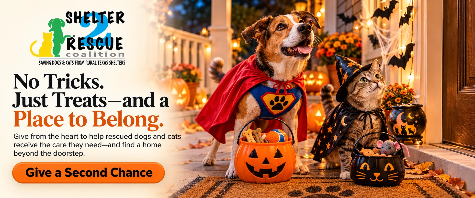 A costumed dog and cat trick-or-treat on a decorated porch with buckets of pet treats and toys.
