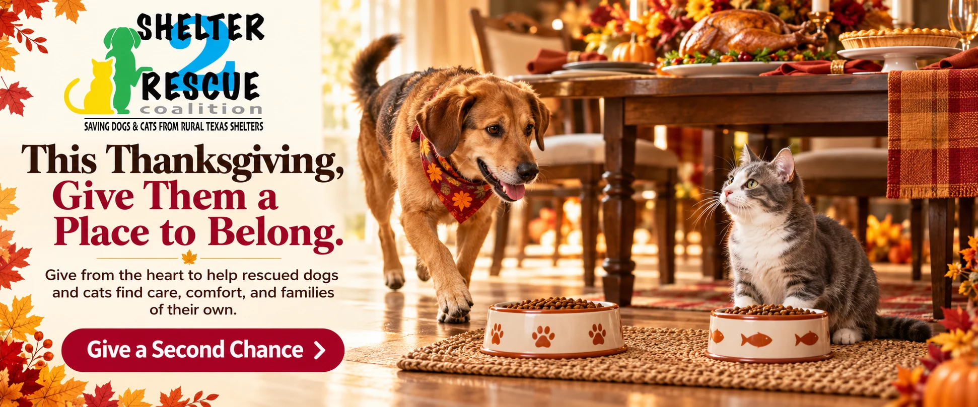 A dog and cat have their own bowls beside a welcoming Thanksgiving table.